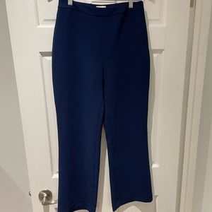 Aritzia Dress Pants